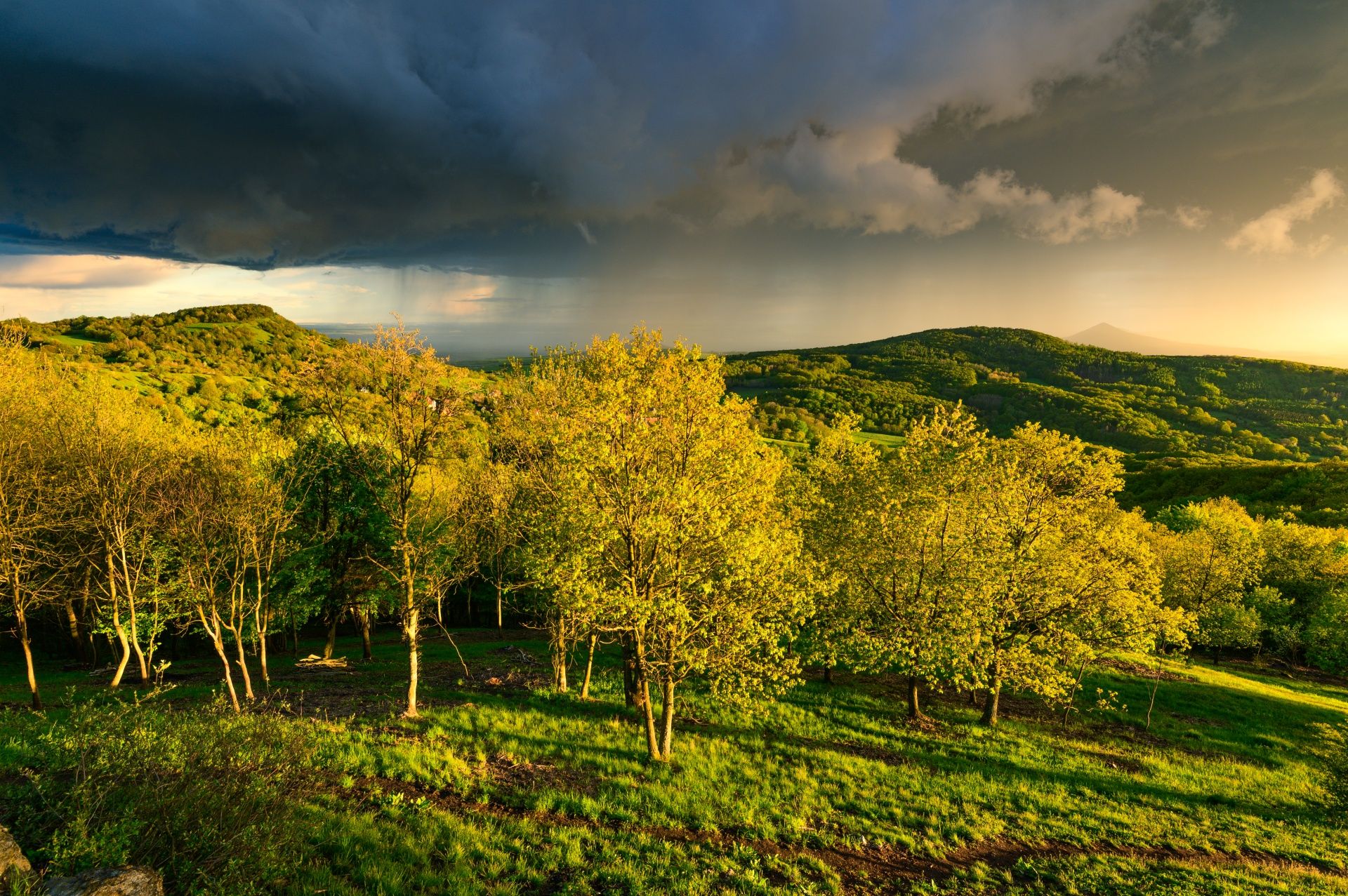 Holý vrch u Hlinné