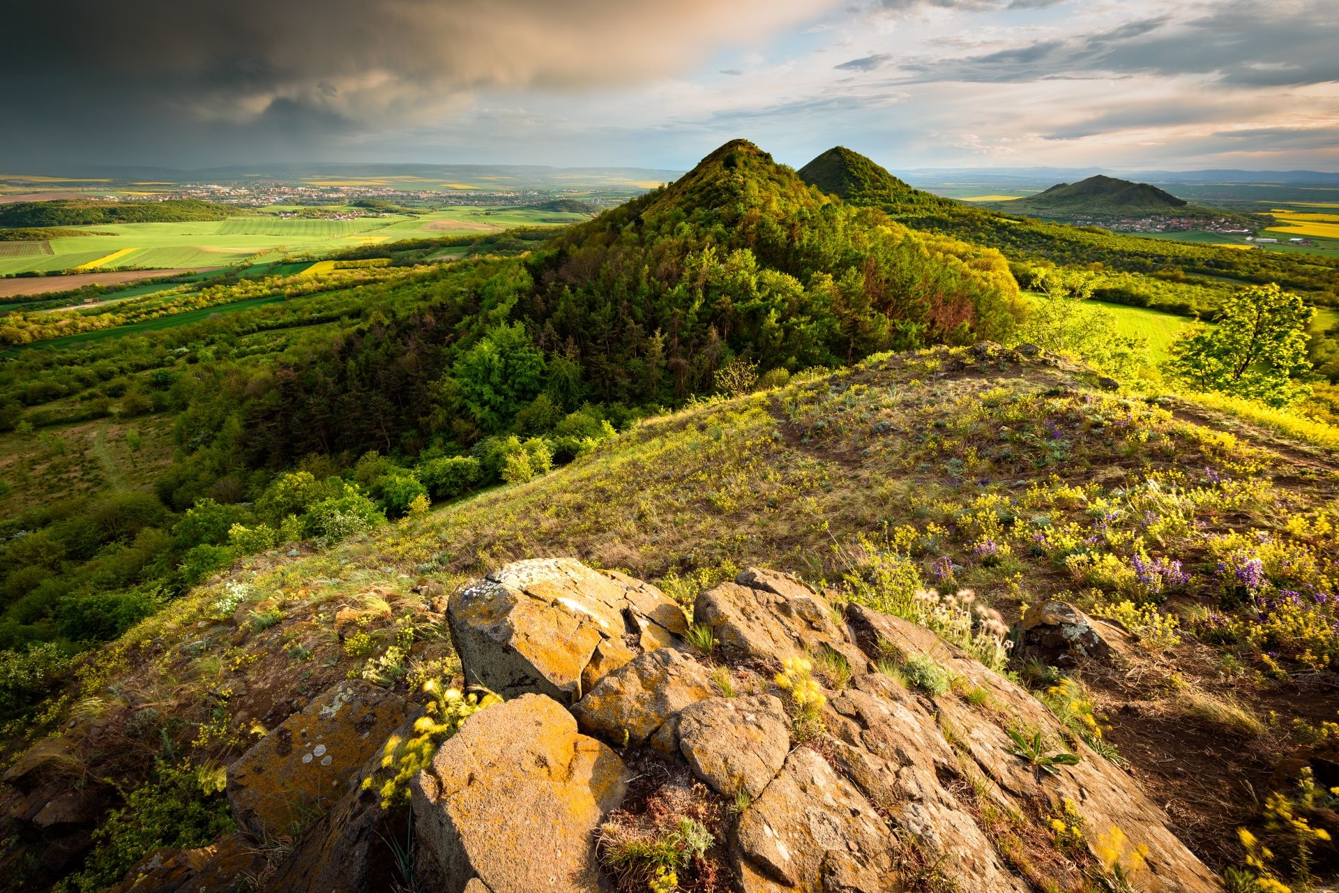 Srdov a Oblík z Brníku