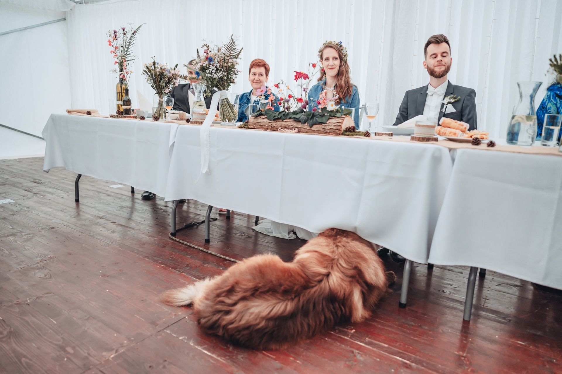 Pes na svatbě