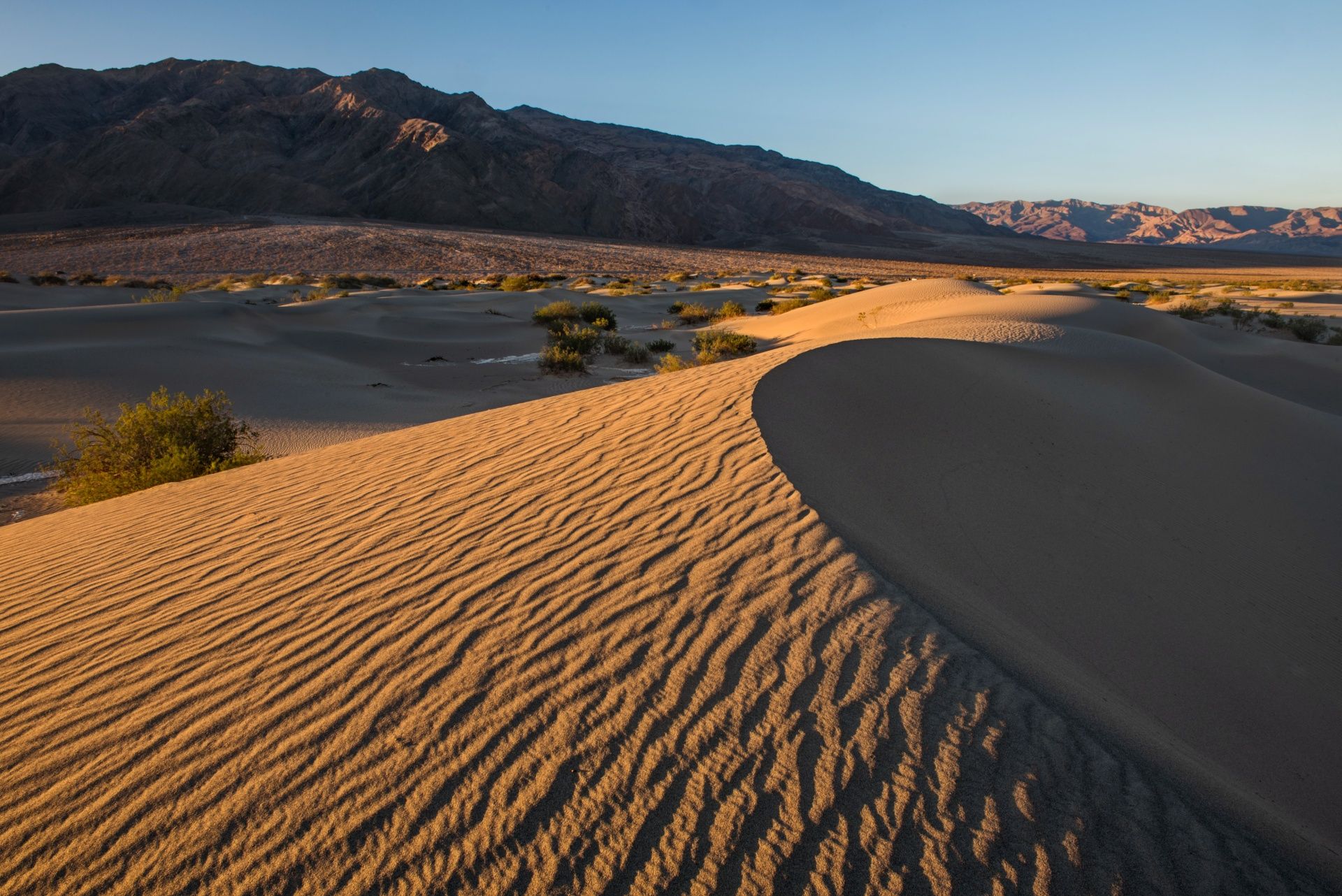   Mesquite Sand Dunes