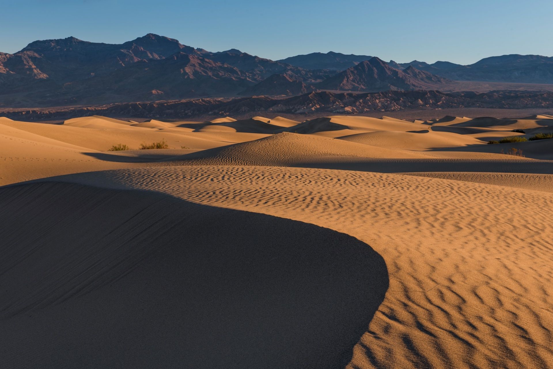   Mesquite Sand Dunes