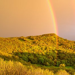 České Středohoří