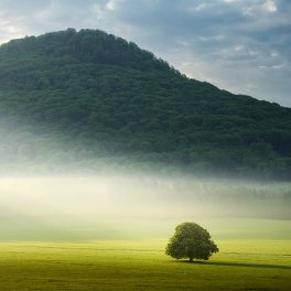Českosaské Švýcarsko